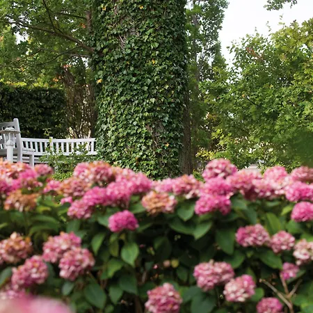 Aja Nordperd & מלון 4*